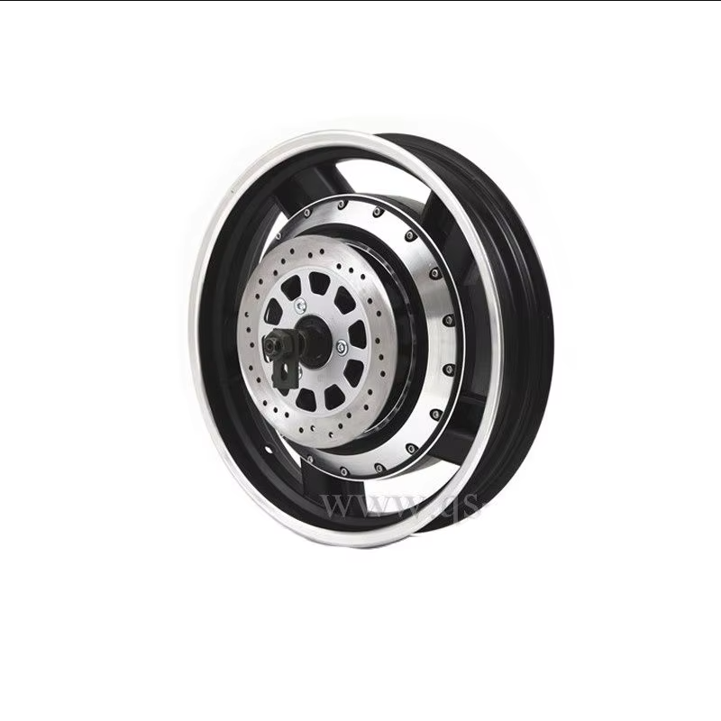 QS273 17 pollici 17x3.5 8000W  - Qs273 Hub Motor 8000W 72V recensione e prezzo